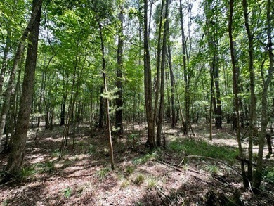 Looking for a hunting property you can shape into your own - photo 4