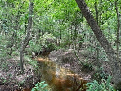 Looking for a hunting property you can shape into your own - photo 5