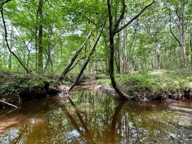 Looking for a hunting property you can shape into your own - photo 6