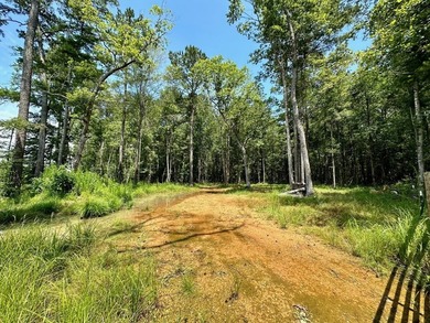 Looking for a hunting property you can shape into your own - photo 7