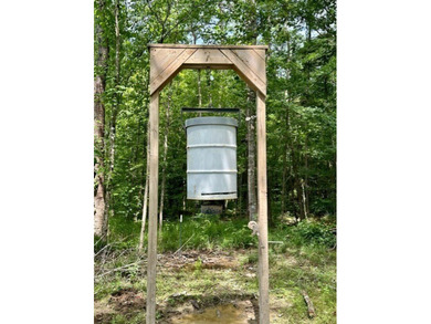 Looking for a hunting property you can shape into your own - photo 8