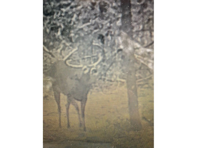 Looking for a hunting property you can shape into your own - photo 9