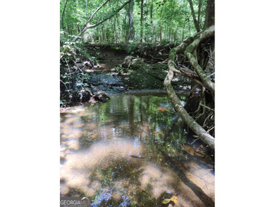 (private lake, pond, coastal) Acreage For Sale in Elberton Georgia
