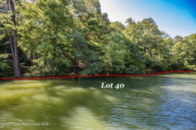 Lake Lot For Sale in Jacksons Gap, Alabama
