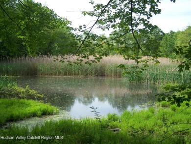 Lake Acreage For Sale in Kingston, New York