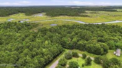 Over 10 acres in the Bay St. Louis area, This property is - photo 4