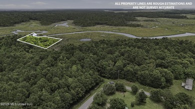 Over 10 acres in the Bay St. Louis area, This property is - photo 5