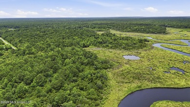 Over 10 acres in the Bay St. Louis area, This property is - photo 8