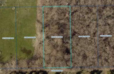 Lake Erie - Ottawa County Lot For Sale in Middle Bass Ohio