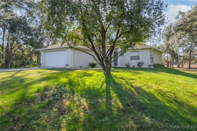 (private lake, pond, coastal) Home Sale Pending in Inverness Florida