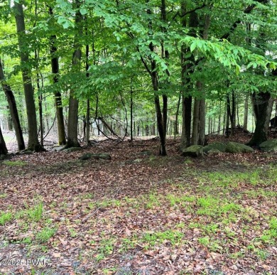 Lake Wallenpaupack Lot For Sale in Lake Ariel Pennsylvania