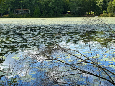 Waterfront Lot with 185ft of frontage on Freeses Pond in NH - Lake Lot For Sale in Deerfield, New Hampshire