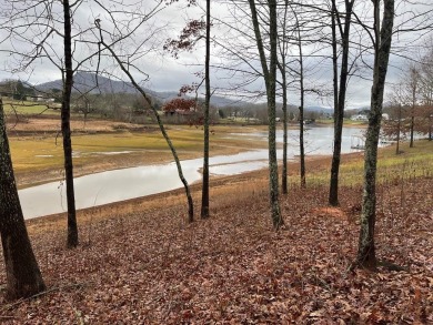 Lake Lot For Sale in Hayesville, North Carolina