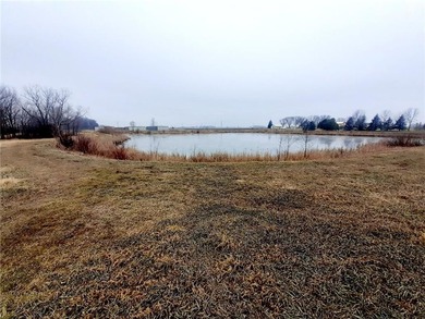(private lake, pond, creek) Lot For Sale in Arlington Minnesota