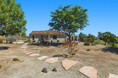 3927 Limber Pine - photo 46