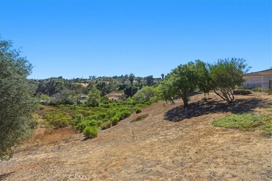 3927 Limber Pine - photo 49