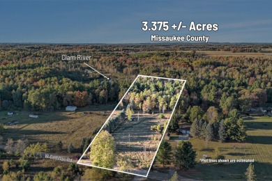 Lake Acreage Sale Pending in Mcbain, Michigan
