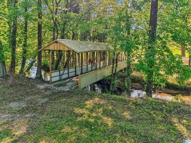 This estate truly embodies the essence of Alabama. Spanning over - photo 5