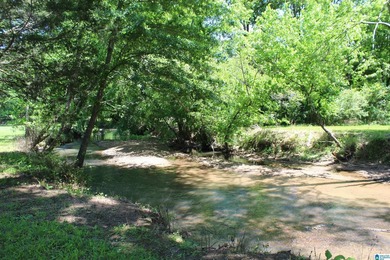 This estate truly embodies the essence of Alabama. Spanning over - photo 6