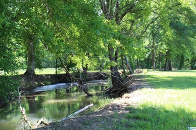 This estate truly embodies the essence of Alabama. Spanning over - photo 7