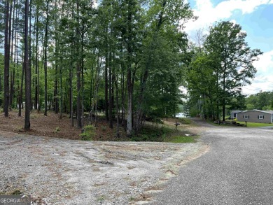 Lake Sinclair Lot For Sale in Hancock Georgia