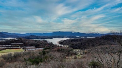 Lake Acreage For Sale in Hayesville, North Carolina