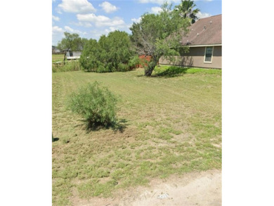 Walker Lake Lot For Sale in La Joya Texas