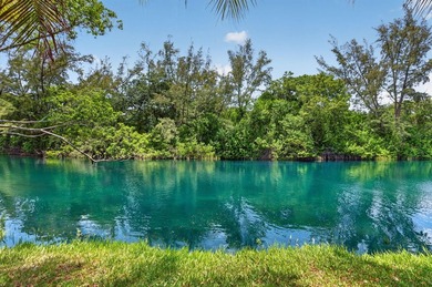 Beautifully updated Florida Ranch home overlooking Cliff Lake - photo 3