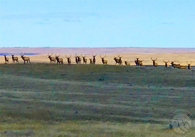 (private lake, pond, creek) Acreage For Sale in Lewistown Montana