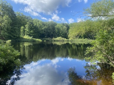 Lake Lot For Sale in Newaygo, Michigan