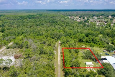 Lake Francis - Highlands County Lot Sale Pending in Lake Placid Florida