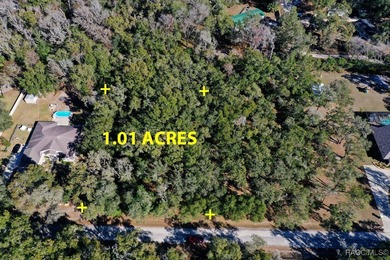 Tsala Apopka Chain of Lakes Lot Sale Pending in Inverness Florida