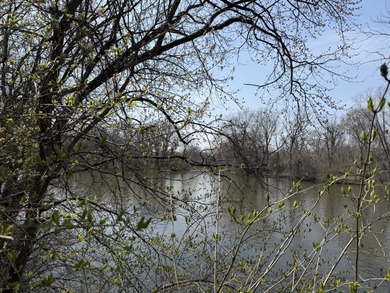 Come build your dream home on the Fox River! Lots like this dont - photo 11