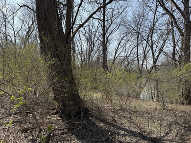 Come build your dream home on the Fox River! Lots like this dont - photo 13