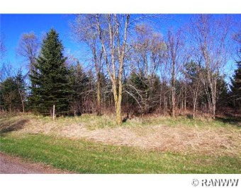 Tainter Lake Lot For Sale in Colfax Wisconsin