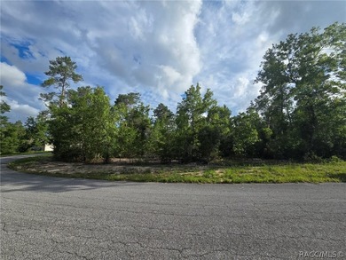 WELCOME TO 43 MATRICARIA CTE MAKE THIS HOME YOUR OWN! NEW - photo 48