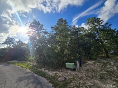 WELCOME TO 43 MATRICARIA CTE MAKE THIS HOME YOUR OWN! NEW - photo 49