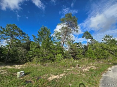 WELCOME TO 43 MATRICARIA CTE MAKE THIS HOME YOUR OWN! NEW - photo 50