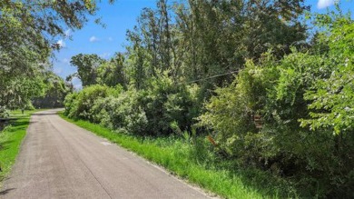 (private lake, pond, creek) Lot For Sale in Wesley Chapel Florida