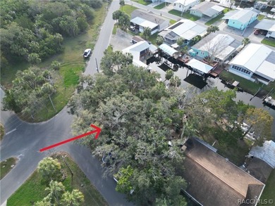 Vacant Land, with a new dock installed in 2025! .16 of an acre - photo 13