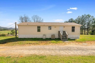 BACK ON THE MARKET AT NO FAULT TO SELLER Spacious double-wide - photo 39