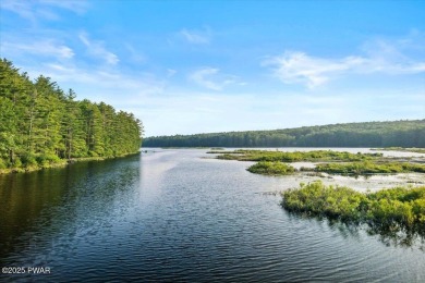 Tink Wig Lake Home Sale Pending in Hawley Pennsylvania