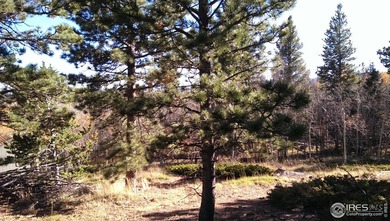 Panhandle Reservoir Acreage For Sale in Red Feather Lakes Colorado