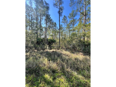 Lake Weohyakapka Lot For Sale in Indian Lake Estates Florida