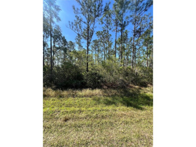 Lake Weohyakapka Lot For Sale in Indian Lake Estates Florida