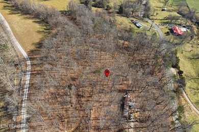 An exciting opportunity to own 1.15 unrestricted acres in - photo 15