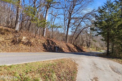 An exciting opportunity to own 1.15 unrestricted acres in - photo 21