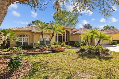 Lake Home For Sale in Tarpon Springs, Florida