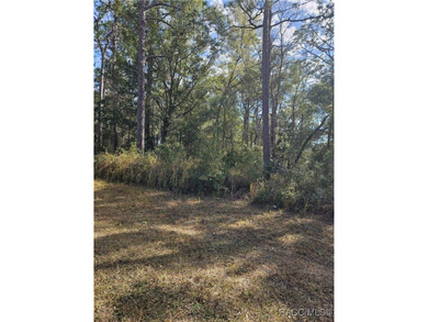 Are you looking to build a home? This beautiful property might - photo 2