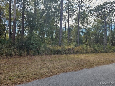 Are you looking to build a home? This beautiful property might - photo 3